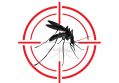 Saúde realiza ações contra dengue no Alto da Colina e Jardim Botânico