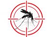  Saúde realiza ações contra dengue no Alto da Colina e Jardim Botânico