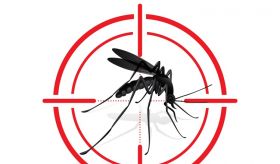 Saúde realiza ações contra dengue no Alto da Colina e Jardim Botânico