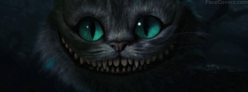 Capas para Facebook gato preto