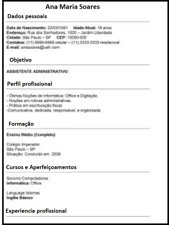Perfil Profissional Prontos Exemplo De Curriculo Novo Exemplo 4303