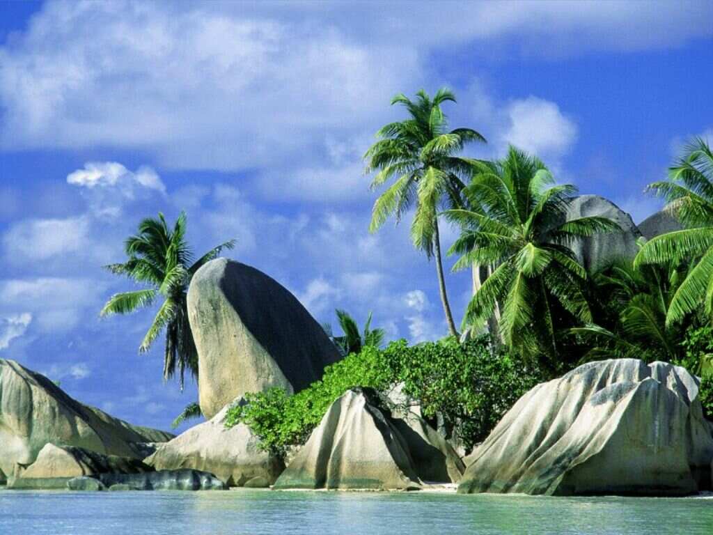 Paisagens mais lindas do mundo imagem da paisagem do mar, com coqueiros