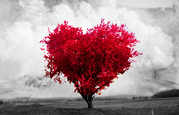 Amor árvore de Coração
