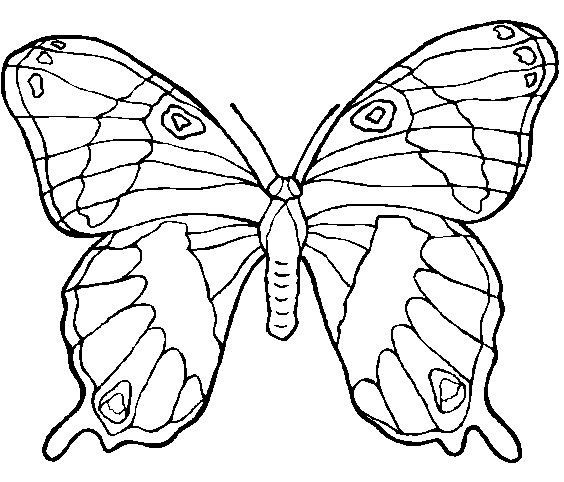 Como Imprimir desenhos borboletas para imprimir
