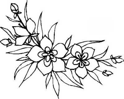 Desenhos de Flores de Canto
