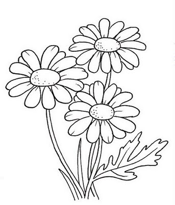 Desenhos de Flores Margarida