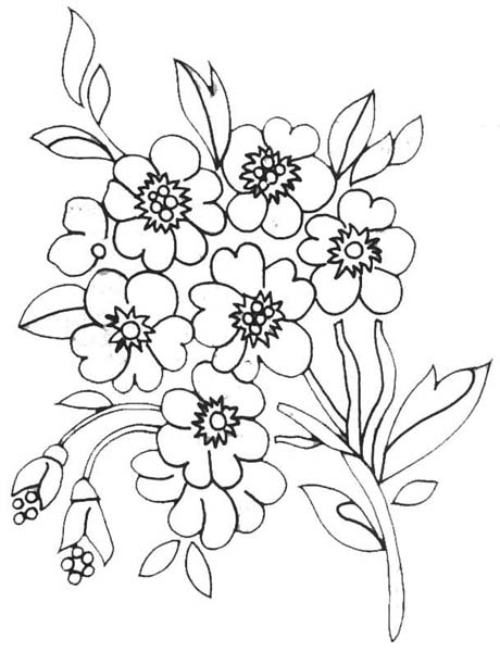 Desenhos de Flores Variadas