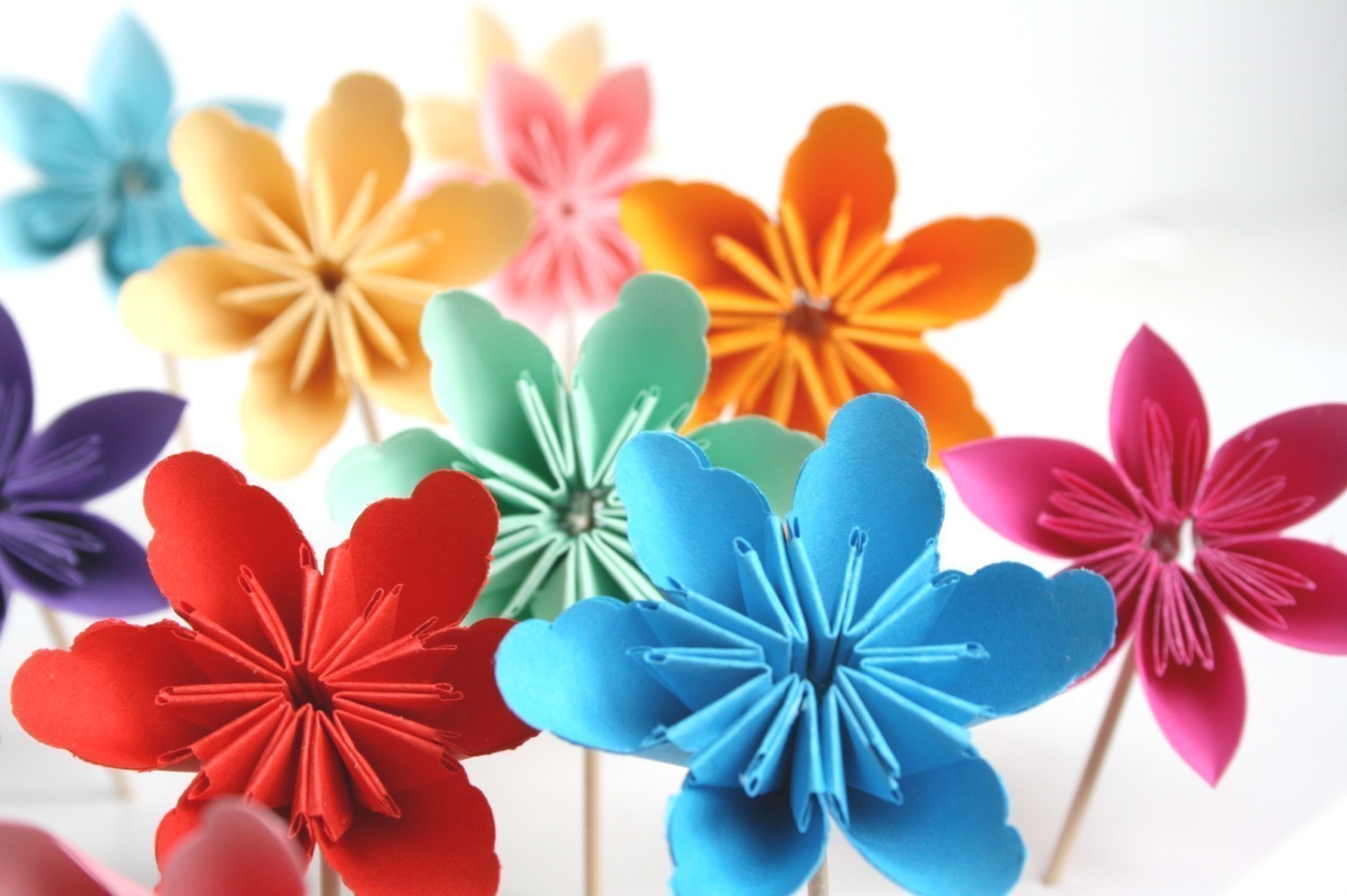 Flores de papel de diversas cores 