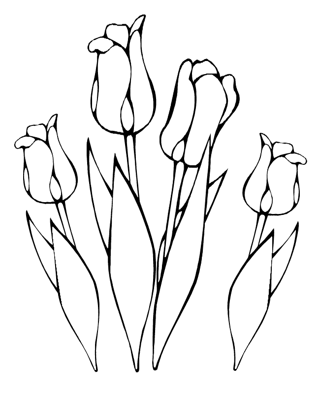 Flores faceis de desenhar Rosa
