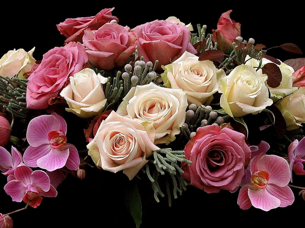 Flores lindas para Papel de parede rosas 