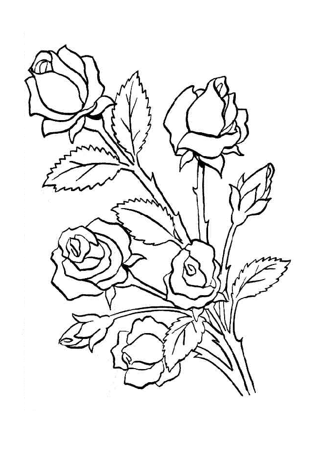 Imagens de flores para colorir e fotos de flores para colorir Buque de rosas