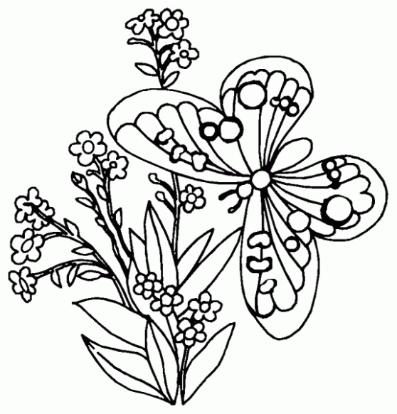 Imagens de flores para colorir e fotos de flores para colorir  flores com borboletas