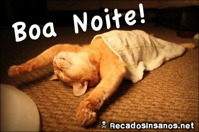 Imagens para Facebook de boa noite engraçados gato se espreguiçando