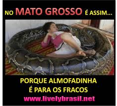 Imagens para facebook e fotos engraçadas no Mato Grosso é assim