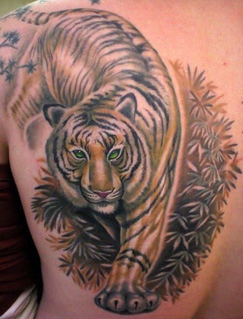 Significado das tatuagens Tigre