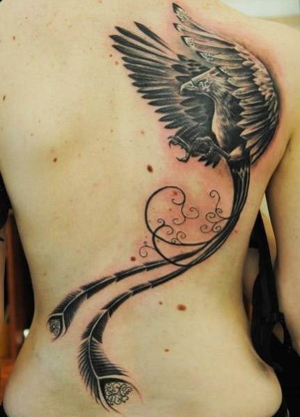 Tatuagem de fenix  Costas toda