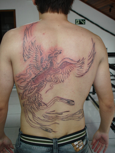 Tatuagem de fenix  fazendo