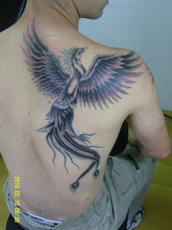 Tatuagem de fenix  grande