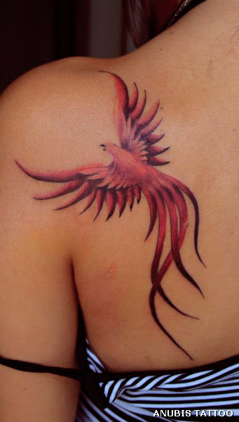 Tatuagem de fenix  Gaveta