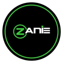 logo lojas zanie