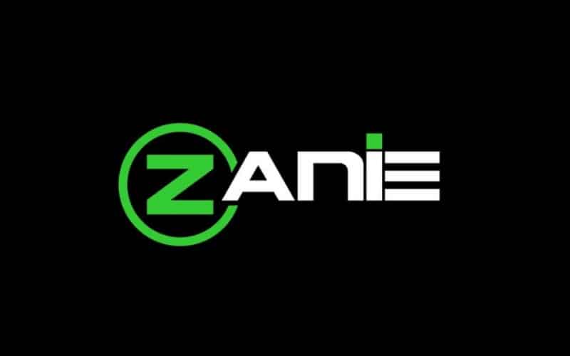 zanie destaque