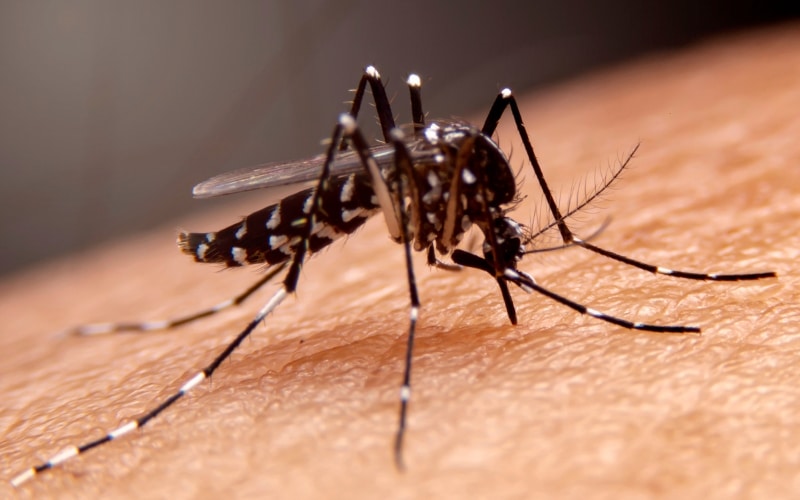 semana-de-mobilizacao-contra-a-dengue