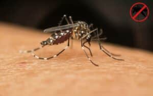 mutirao-contra-dengue-em-avare