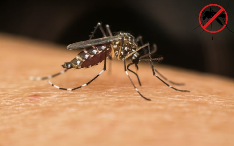 mutirao-contra-dengue-em-avare