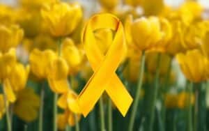 acao-do-setembro-amarelo-em-avare