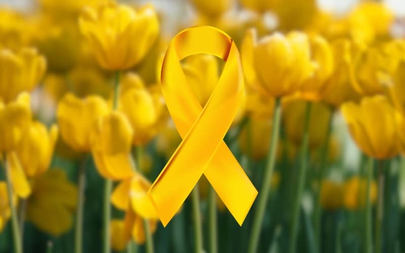 acao-do-setembro-amarelo-em-avare