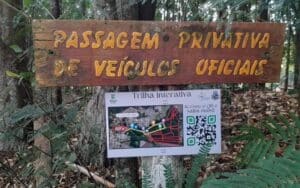 trilha-interativa-no-horto-florestal