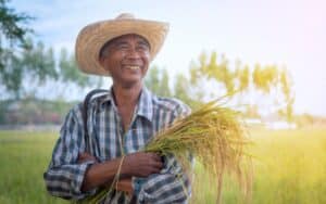 centro-de-excelencia-de-agroindustria-em-avare