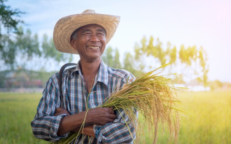 centro-de-excelencia-de-agroindustria-em-avare