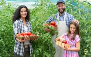 primeira-feira-da-agricultura-familiar-em-avare