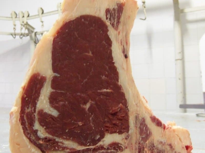 pedaco-de-carne
