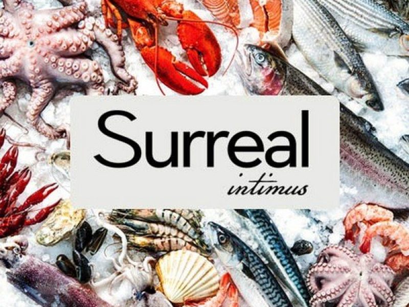 surreal-intimus-anuncio